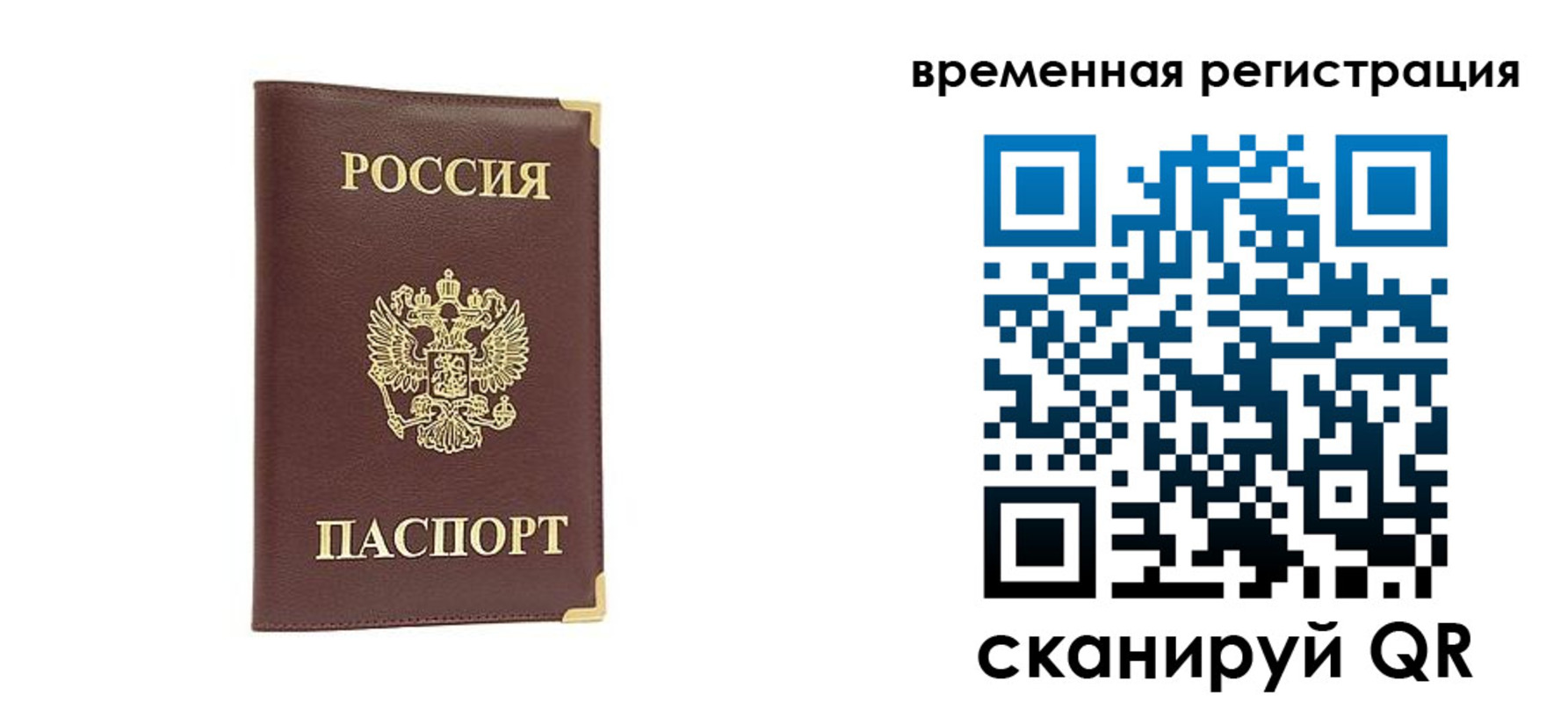прописка от собственника в Балтийске